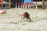 zomer wedstrijd someren zaterdag