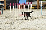 zomer wedstrijd someren zaterdag