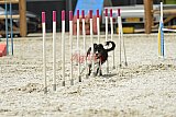zomer wedstrijd someren zaterdag