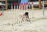 zomer wedstrijd someren zaterdag