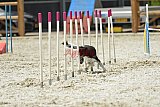 zomer wedstrijd someren zaterdag