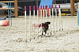 zomer wedstrijd someren zaterdag