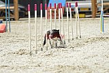 zomer wedstrijd someren zaterdag