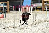 zomer wedstrijd someren zaterdag