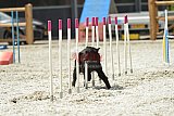 zomer wedstrijd someren zaterdag