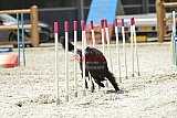 zomer wedstrijd someren zaterdag