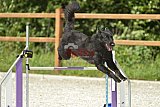 zomer wedstrijd someren zaterdag