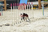 zomer wedstrijd someren zaterdag