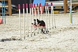 zomer wedstrijd someren zaterdag
