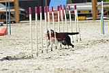 zomer wedstrijd someren zaterdag