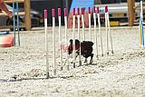 zomer wedstrijd someren zaterdag
