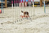 zomer wedstrijd someren zaterdag