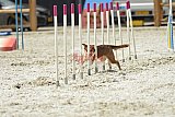 zomer wedstrijd someren zaterdag