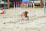 zomer wedstrijd someren zaterdag