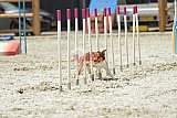 zomer wedstrijd someren zaterdag