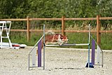 zomer wedstrijd someren zaterdag