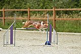 zomer wedstrijd someren zaterdag