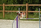 zomer wedstrijd someren zaterdag