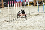 zomer wedstrijd someren zaterdag