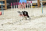 zomer wedstrijd someren zaterdag