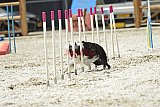 zomer wedstrijd someren zaterdag