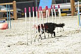 zomer wedstrijd someren zaterdag