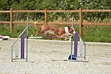 zomer wedstrijd someren zaterdag