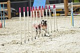 zomer wedstrijd someren zaterdag