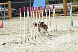 zomer wedstrijd someren zaterdag