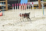 zomer wedstrijd someren zaterdag