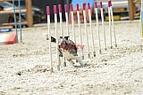 zomer wedstrijd someren zaterdag