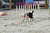 zomer wedstrijd someren zaterdag