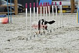 zomer wedstrijd someren zaterdag