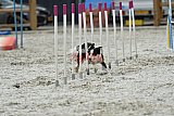 zomer wedstrijd someren zaterdag