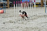 zomer wedstrijd someren zaterdag