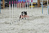 zomer wedstrijd someren zaterdag