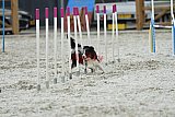 zomer wedstrijd someren zaterdag