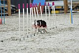 zomer wedstrijd someren zaterdag