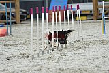 zomer wedstrijd someren zaterdag