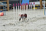zomer wedstrijd someren zaterdag