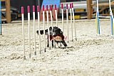 zomer wedstrijd someren zaterdag