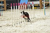 zomer wedstrijd someren zaterdag