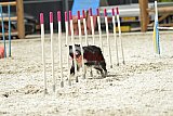zomer wedstrijd someren zaterdag