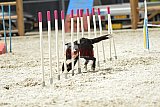 zomer wedstrijd someren zaterdag