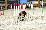 zomer wedstrijd someren zaterdag