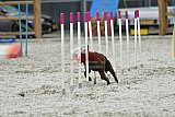 zomer wedstrijd someren zaterdag