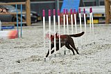 zomer wedstrijd someren zaterdag