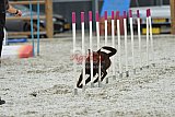 zomer wedstrijd someren zaterdag