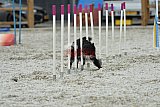 zomer wedstrijd someren zaterdag
