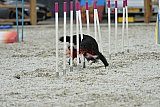 zomer wedstrijd someren zaterdag